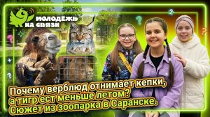 Почему верблюд отнимает кепки, а тигр ест меньше летом? Детские вопросы зоологу
