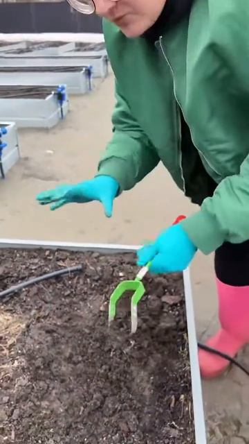 Чем подкормить чеснок весной.
