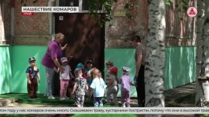 Как урайцы справляются с нашествием комаров? 11-06-2026
