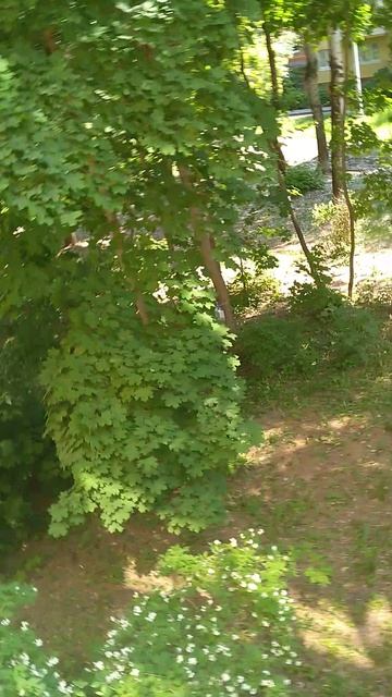 Летняя красота🏖☀️ смотреть онлайн