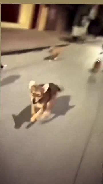 Вероятно, это случалось с большинством из нас.