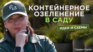 Почему кашпо выглядят бедно: всё о контейнерном озеленении