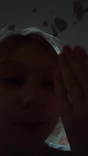 заставь сказать вау и круто.