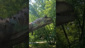 Летний лагерь ОБРАЗОВАНИЕ ПЛЮС…I - Наша вторая неделя
