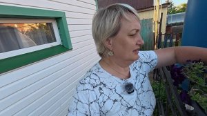Куда мне их пристроить?