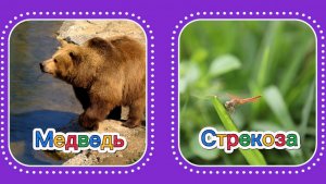 Сравнения | Первые слова| учим животных | запуск речи
