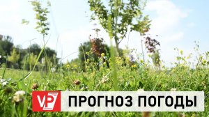 ПРОГНОЗ ПОГОДЫ ПО ВОЛГОГРАДУ И ОБЛАСТИ С 12 ПО 18 ИЮНЯ