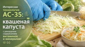 Квашеная капуста, которая заменит БАДы? Ферментированный продукт нового поколения!