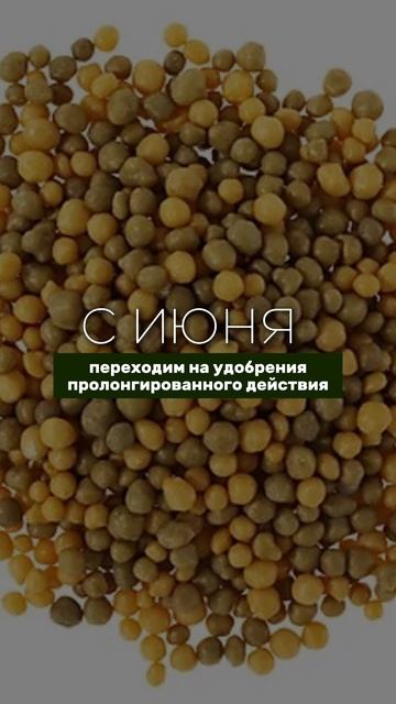 уход газона летом смотреть онлайн