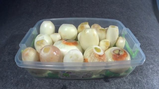 Выращивание зеленого лука стало проще нужны лишь полотенце и вода