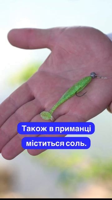 Силікон Daiwa Tournament D`Fin #beregfishing #fishing #галаш #спінінг #силікон #daiwa смотреть онлайн