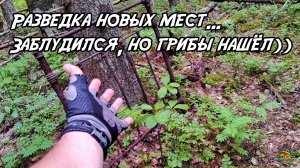 Разведка новых мест... Заблудился, но грибы нашёл))