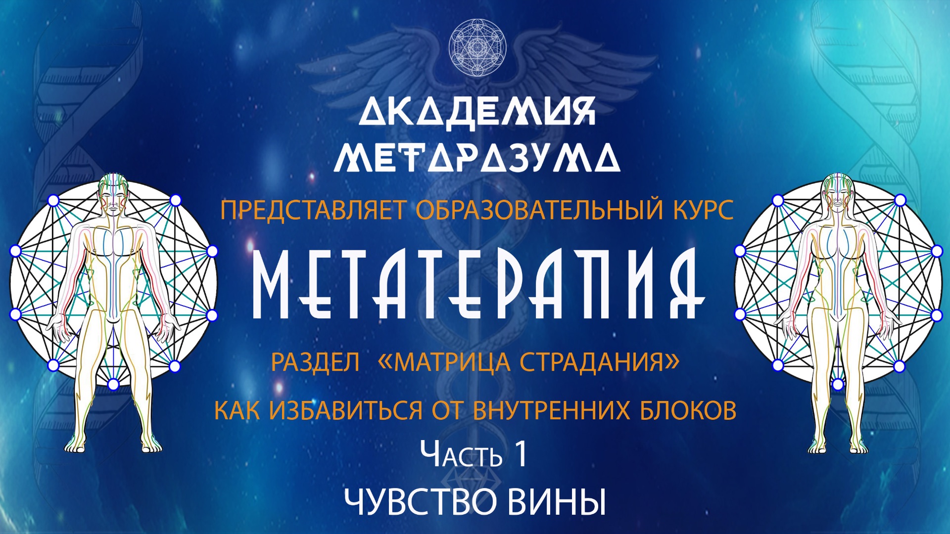 ЧУВСТВО ВИНЫ (МАТРИЦА СТРАДАНИЯ)