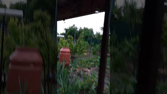 1000105391.mp4ура ! дождь