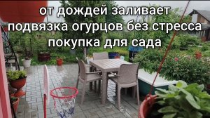 Подвязка огурцов без стресса/Нас заливают дожди/Обзор покупки для сада/В пристройке изменения.