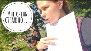 138/26. Эксперимент // Что с собакой?! // Mariya VD LIFE.
