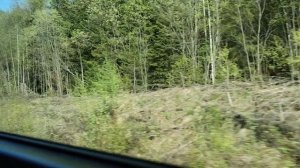 2. из окна поезда (4)