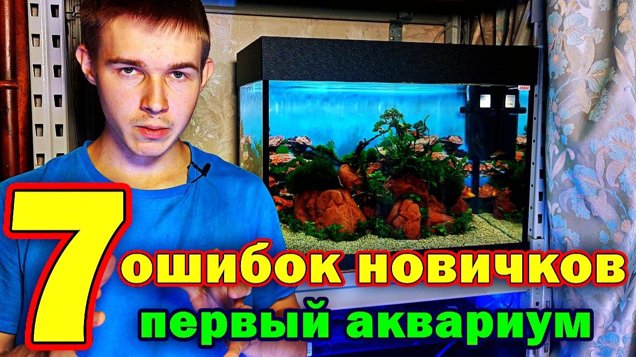 Первый аквариум: 7 ошибок, которые лучше не допускать смотреть онлайн