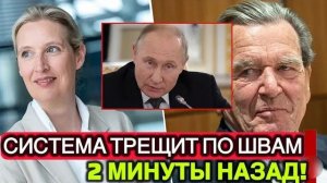 ВОТ И ВСЁ  ШРЁДЕР И АЛИСА ВАЙДЕЛЬ ОБЪЕДИНЯЮТСЯ ПРОТИВ МЕРЦА — БЕРЛИН В ПАНИКЕ