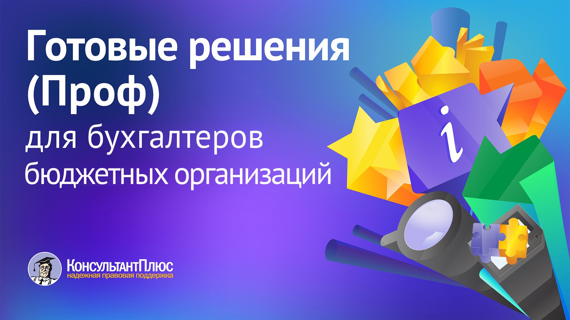 Готовые решения (Проф) для бухгалтеров бюджетных организаций | Кейсы для юристов