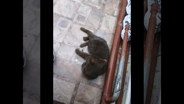 Еще монтаж смотреть онлайн