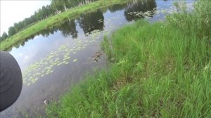 НА ЗАИМКУ К ДРУГУ /СОБРАЛСЯ ПОЛОВИТЬ КАРАСЕЙ