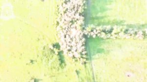 💥Северяне зачищают лесные массивы Волчанского района: уничтожение вражеских операторов БпЛА