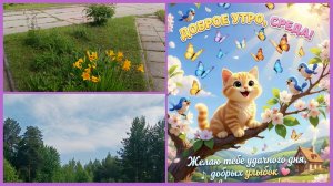 10-06-2026💥Влог💥среда 💥на работе