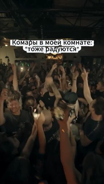 Можно заказать москитную сетку один раз и забыть о комарах на годы вперед