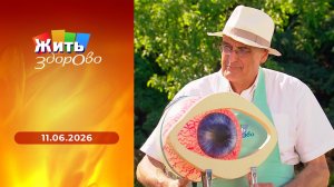 Жить здорово! Выпуск от 11.06.2026