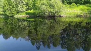 Природа. Релакс. Музыка от ИИ.