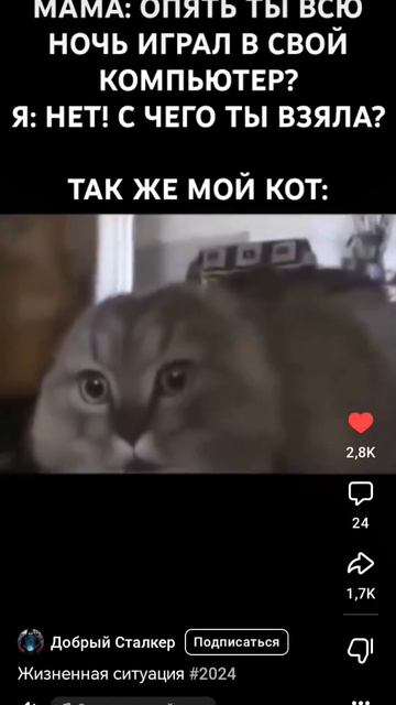 Комп смотреть онлайн