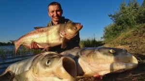 ВОТ ЭТО МОНСТРЫ! Удачный день на ДИКОМ ПРУДУ. Рыбалка на поплавок
