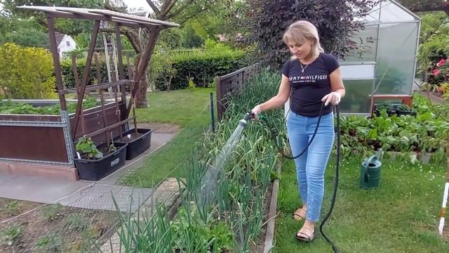 Подкормка из кефира для лука и чеснока в июне.