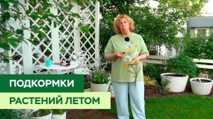 Чем подкормить растения в разгар сезона?