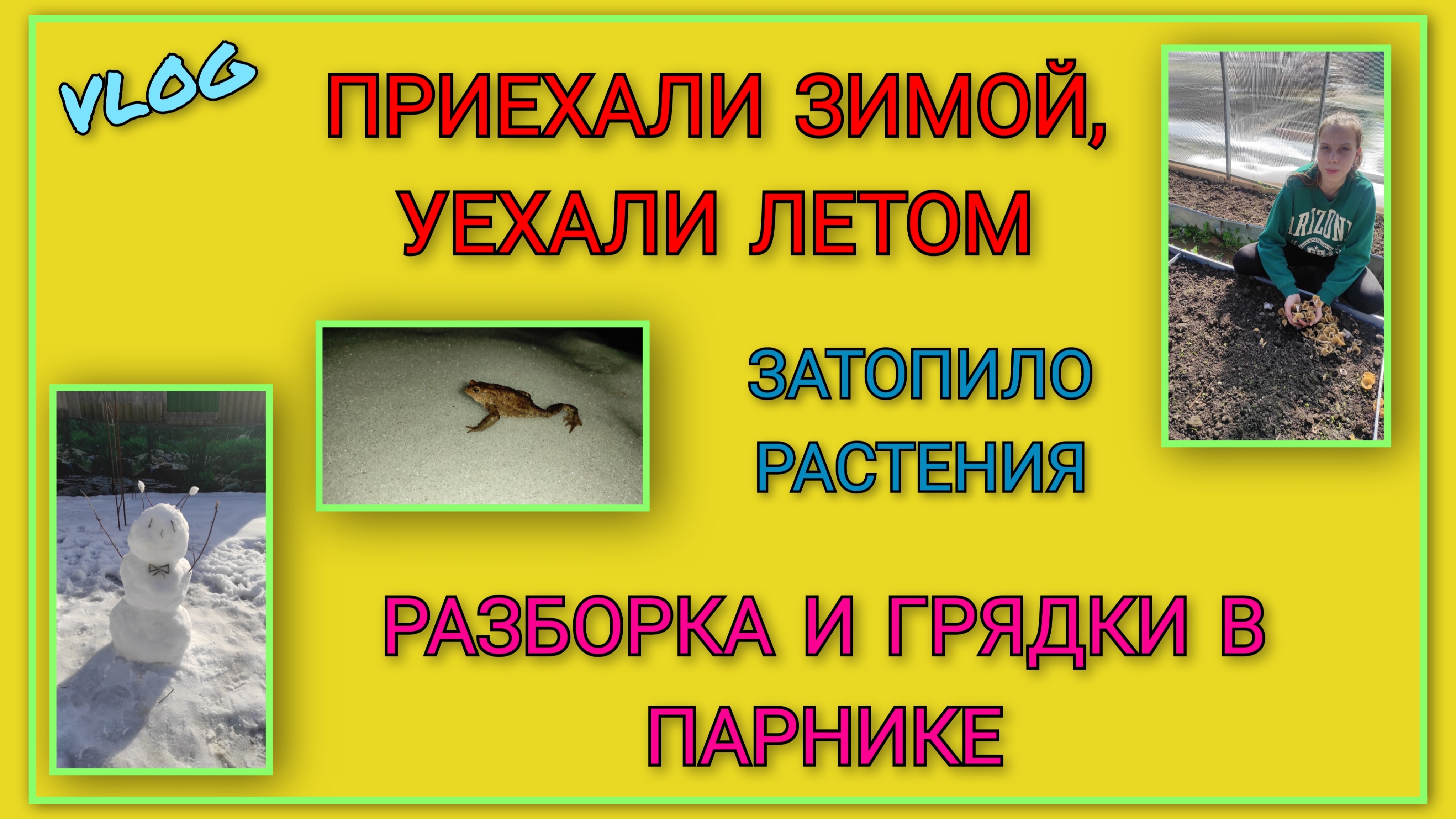 🍒 Приехали на дачу зимой, уехали летом/ Затопило растения/Продолжаются посадки/Начали делать грядки