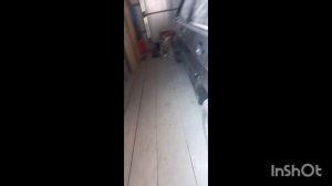 1000035204.mp4