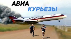 Авиа курьёзы 😳