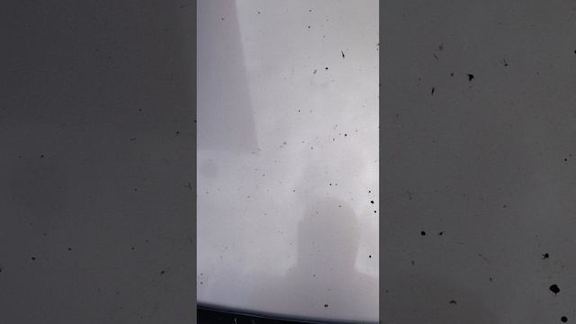 2734.mp4 смотреть онлайн
