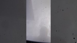 2734.mp4
