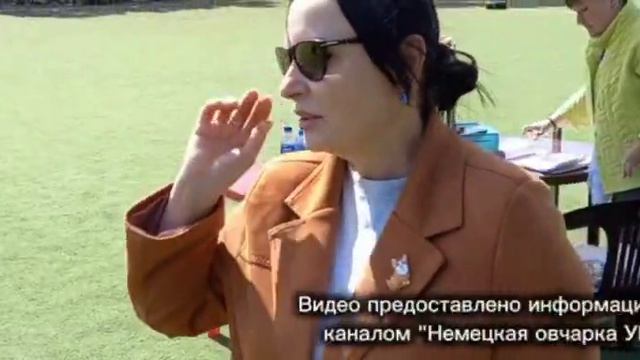 ЮНИОРЫ КОБЕЛИ ДШ / КЧК СУРГУТ 30 мая`26 А.Кейвомяги Моно немецких овчарок