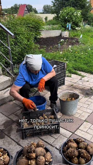 Мамуля😊