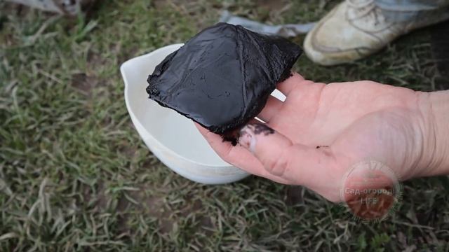 90% садоводов его неправильно делают и применяют.