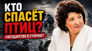 Депутат ГЛАЗКОВА: Государство снова в стороне?