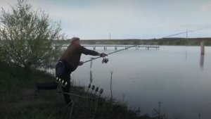 Ловля карпа на плавающие бойлы.За карпиком с утречка по раньше.