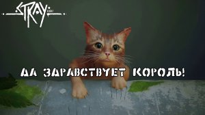 БЕГУЩИЙ ПО ТРУБАМ. Stray #1 | Космонавт PLAY