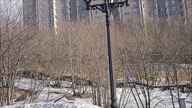Моя Россия 2026г