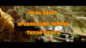 Продолжение от 10.06.2026г. Первые грибы