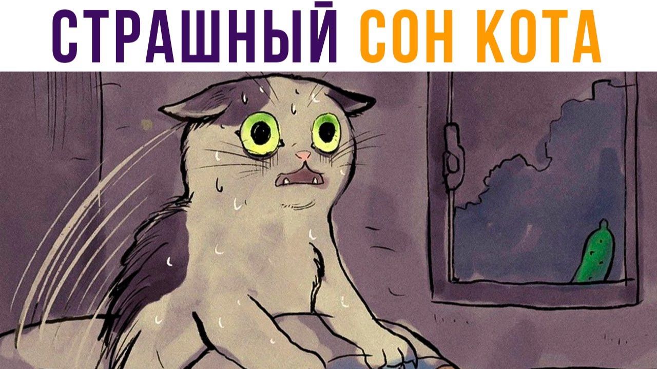 СТРАШЫЙ СОН КОТА))) Приколы с котами смотреть онлайн