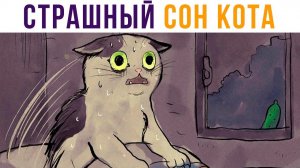 СТРАШЫЙ СОН КОТА))) Приколы с котами